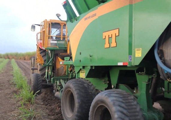 Plantadeira automática transforma produção de cana-de-açúcar em São Miguel dos Campos