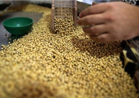 Depois do arroz, governo estuda agora reduzir imposto de soja importada