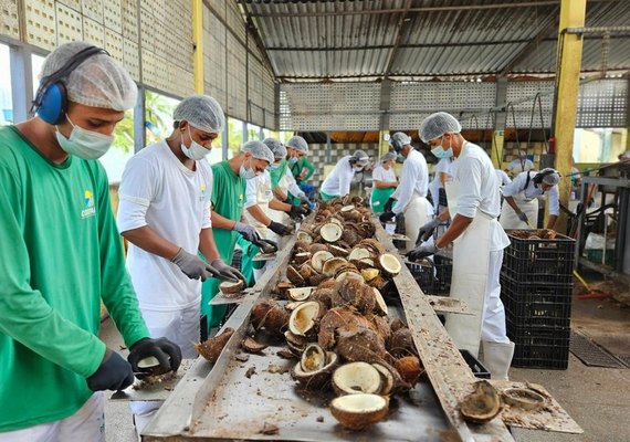 Chamada pública prioriza associações e cooperativas de comunidades tradicionais em AL
