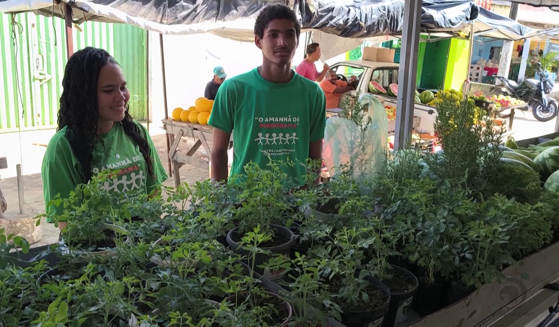 Jovens da Cooperativa Pindorama apresentam produção agrícola e destacam impacto de formação rural