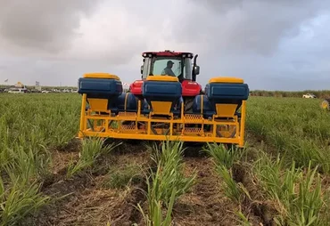 Cana Show testa no campo novas tecnologias para reduzir custos do produtor