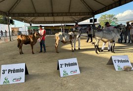 Genética refinada e força leiteira dominam a pista de julgamentos da 42ª Expo Bacia Leiteira