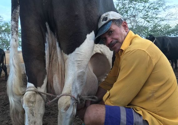 CPLA destaca força do agricultor familiar no aumento da produtividade leiteira