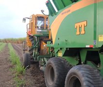 Plantadeira automática transforma produção de cana-de-açúcar em São Miguel dos Campos