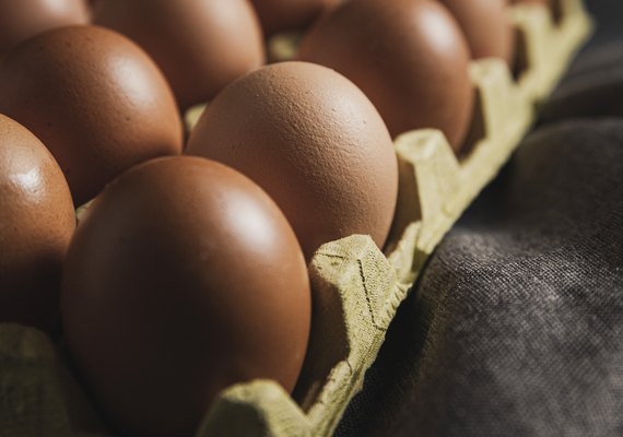 Dia do Ovo: Brasil produziu mais de R$ 64 bilhões de ovos em 2024