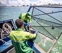 Ecoboats que prometem auxiliar na limpeza do mar de Maceió são testados pela Prefeitura