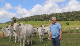 Varrela leva ao mercado genética Nelore com foco em desempenho e eficiência