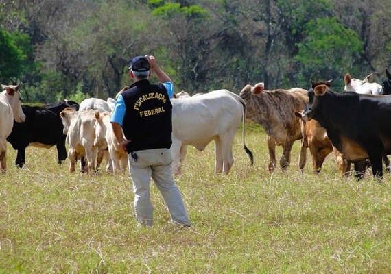 Auditores agropecuários reivindicam reestruturação da carreira e reposição de cargos