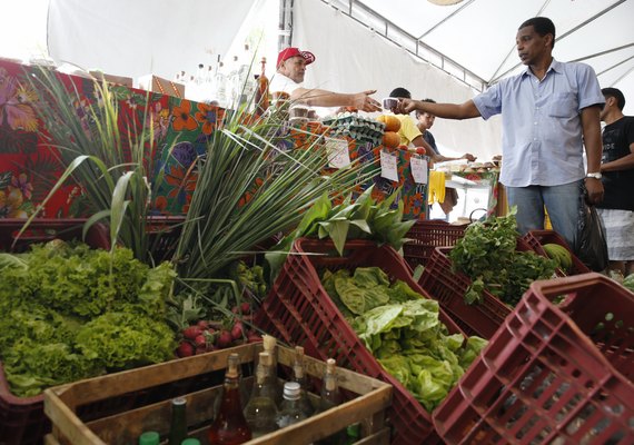 Decreto adia para 2027 exigência de CNPJ para autônomos e produtores rurais