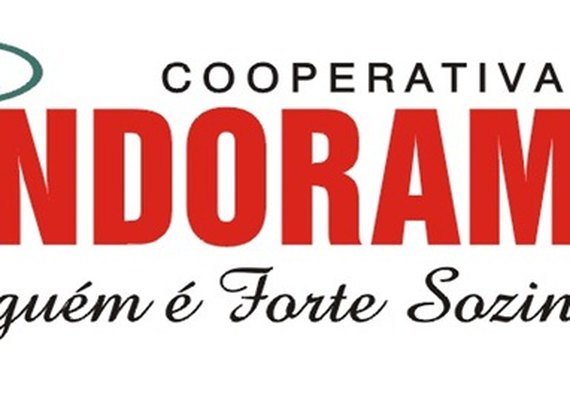 Pindorama realiza dia de campo sobre alta produtividade do canavial