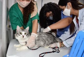 Animais da região do Pinheiro são vacinados contra a raiva nesta segunda