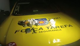 PM apreende revólver e drogas em operações no interior de Alagoas