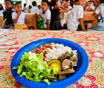 Governo repassa R$ 2,5 bilhões em seis meses para alimentação escolar