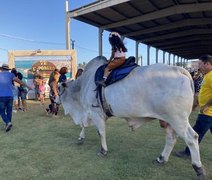 Edição da Expoagro-AL vai movimentar pecuária do Norte e Nordeste