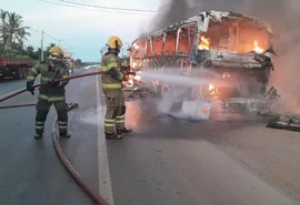 Ônibus de turismo que seguia de Alagoas para São Paulo pega fogo em rodovia