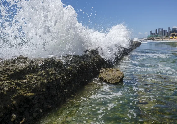 Corais podem evitar R$ 160 bilhões em danos ao litoral do Nordeste