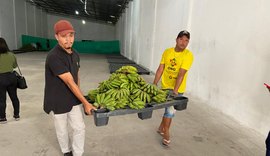 Alagoas Sem Fome: Governo planeja distribuir mais de mil toneladas de sementes para plantio em 2024