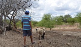 Mais de 92 mil agricultores familiares irão receber Garantia-Safra em maio