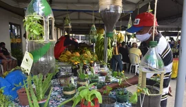 Feira Agroecológica Novo Jardim realiza edição especial na parte alta de Maceió