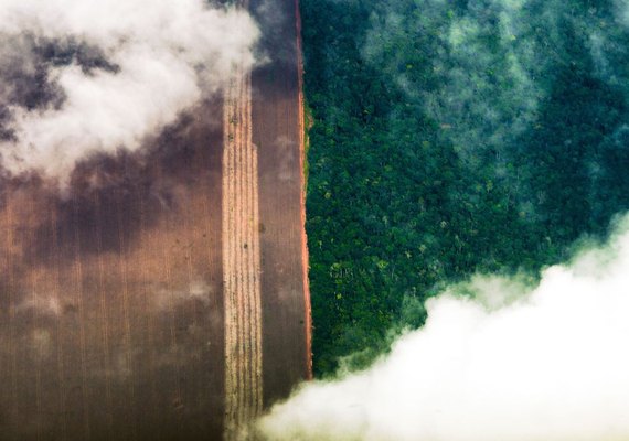 Banco Mundial alerta para dano permanente do desmatamento na Amazônia