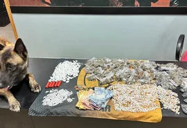 PM apreende quase 50 kg de drogas e 25 armas em uma semana em Alagoas