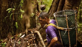 Modelo cooperativo mostra como crescer preservando a biodiversidade