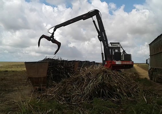 Usina Seresta é acusada de explorar terras da Usina Guaxuma