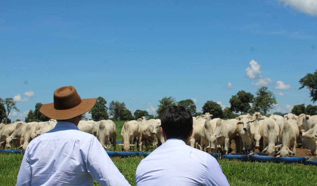 Valor Bruto da Produção Agropecuária deve atingir R$ 1,39 tri em 2026