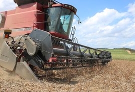 Safra de grãos de Alagoas 2018 será lançada nesta sexta em Anadia