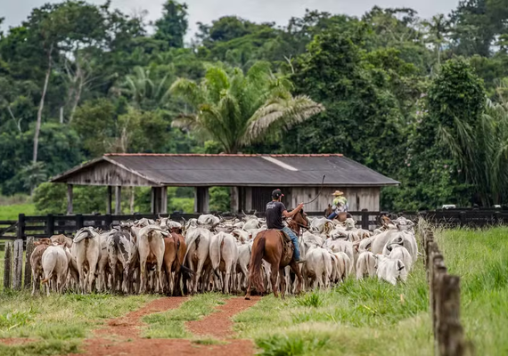 Médios e grandes produtores têm até 31 de dezembro para fazer inscrição no CAR