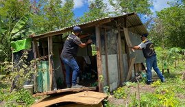 Semscs derruba quatro barracos ilegais em área verde do Parque Municipal