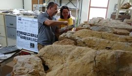 Cientistas descobrem em AL fóssil de peixe de 130 milhões de anos