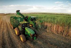 Previsão de safra 18/19 em Alagoas é de 15 milhões de toneladas de cana