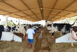 37ª Expo Bacia Leiteira tem início com programação diversificada