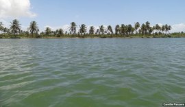 Ibama solicita embarcação à Marinha para vistoriar margens Rio São Francisco