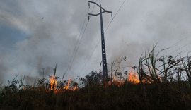 Equatorial inicia campanha de combate a queimadas próximas à rede elétrica