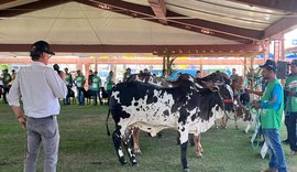 Nelore Pintado estreia na Expoagro-AL e atrai criadores do Nordeste