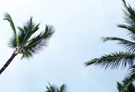 Defesa Civil alerta para ventos de até 70 km/h em AL a partir desta quinta-feira