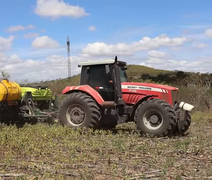Fertilizante líquido revoluciona lavoura de milho no Agreste alagoano