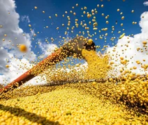 Cooperativa agro recebe R$ 7 milhões em bônus referentes ao crédito de carbono