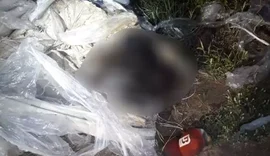 Cadáver é encontrado em avançado estado de decomposição enrolado em plástico em estrada vicinal