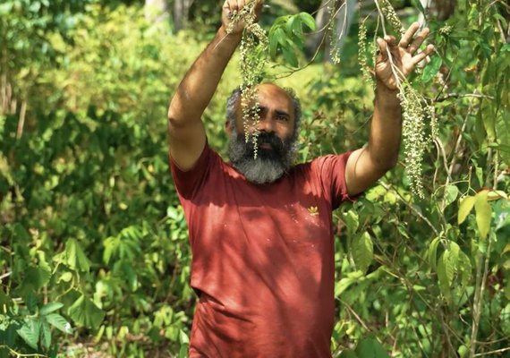 Fazendinha Agroecológica no Flexal garante renda e alimentos saudáveis para Maceió
