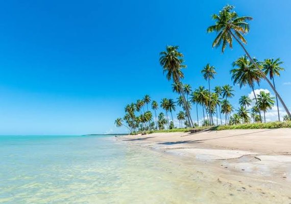 Praia do Patacho: paraíso sustentável de Alagoas que possui selo Bandeira Azul