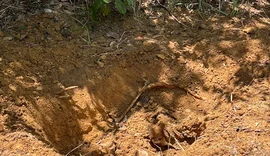 Polícia apura se jovem morto em fazenda foi vítima de tribunal do crime