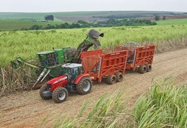 Safra de cana tem crescimento acumulado de 4,6%