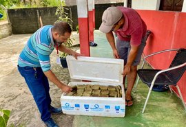 Agricultores de Penedo doam alimentos para desabrigados pelas chuvas