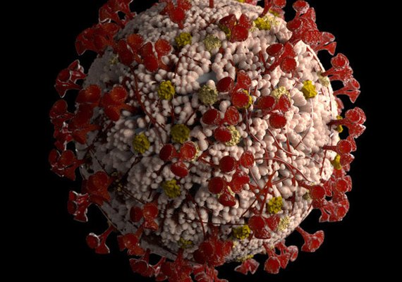 Sesau confirma mais quatro mortes por Covid-19 no Estado