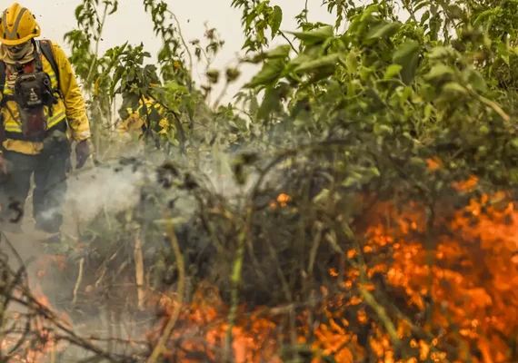 Brasil já registrou mais de 154 mil focos de calor este ano