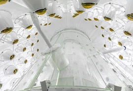 Cientistas descobrem possível sinal de matéria escura