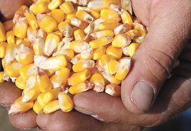 Crédito Rural: Caixa libera R$ 5,2 bilhões para safra 2020/2021
